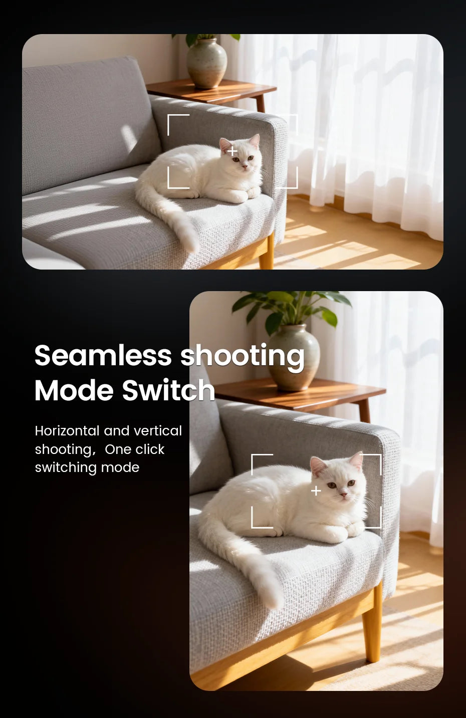 2026 Smart Glasses HD – 800W Camera, 1080p Video, OpenAI, AI Translator, Bluetooth, Photochromic Lenses