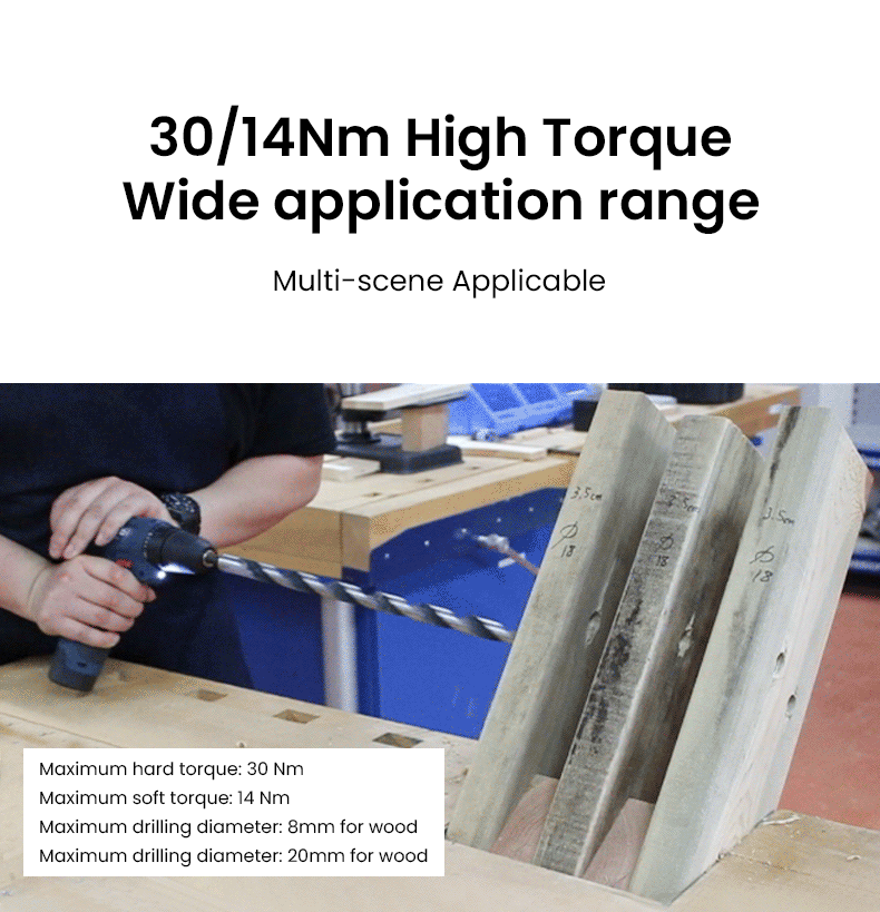 Bosch GSR120 Li 12V Cordless Screwdriver – 30Nm, 20-Level Torque