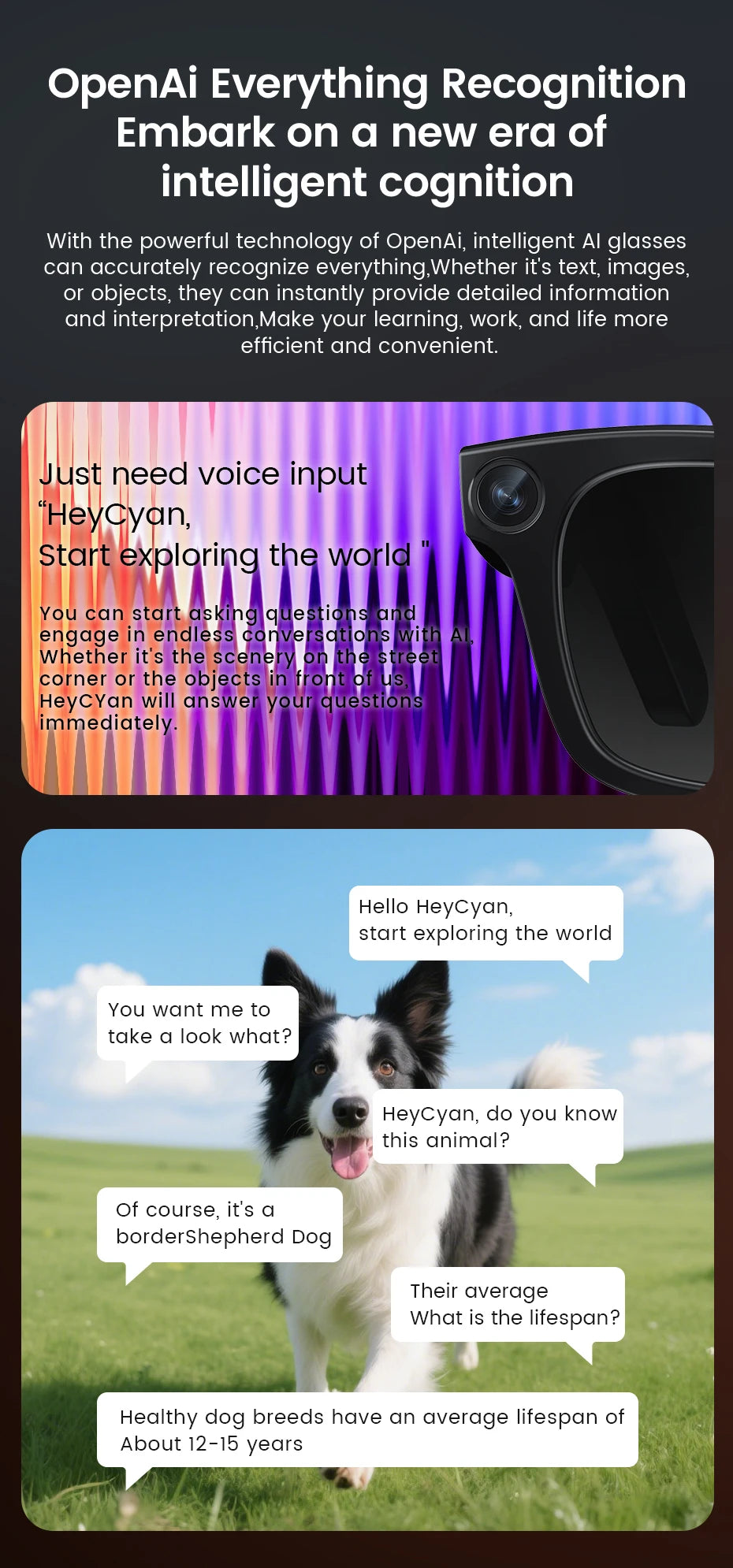 Smart Glasses HD Camera Bluetooth AI Translation – Black Sunglasses