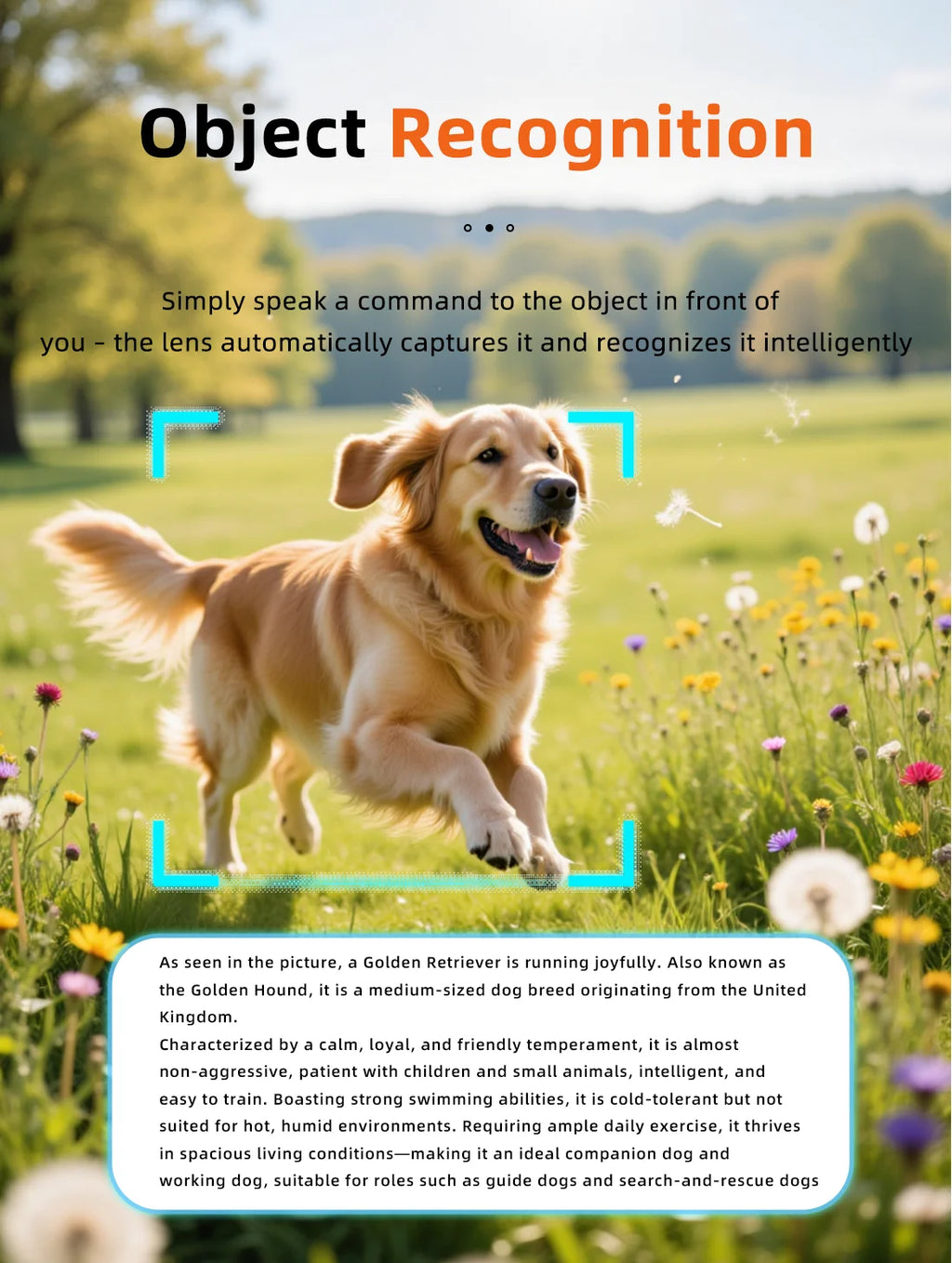 2026 Smart Glasses Men – 800W HD Photo & Video, Bluetooth Call, AI Translation, Anti-Glare