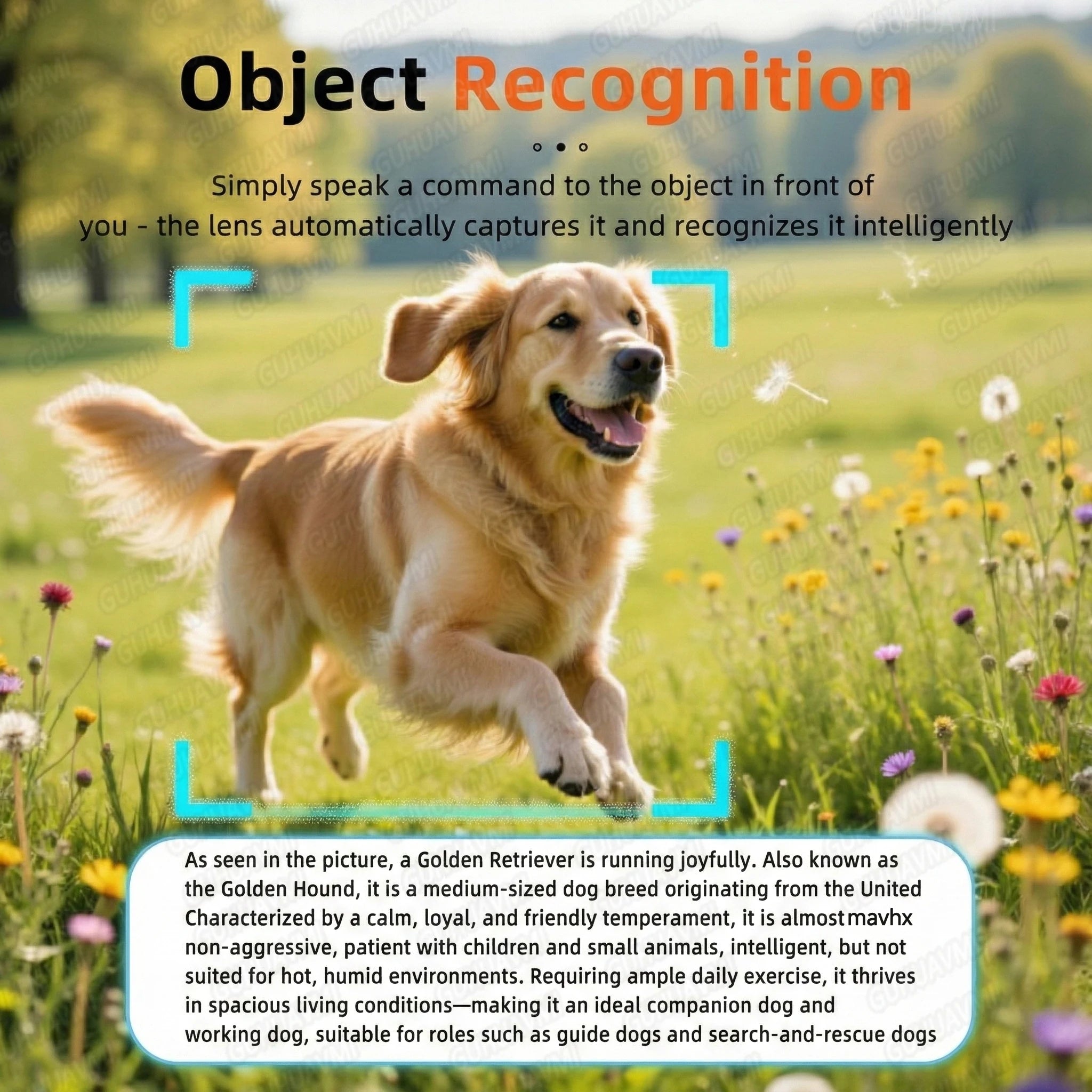 2026 Smart Glasses Men – 800W HD Photo & Video, Bluetooth Call, AI Translation, Anti-Glare