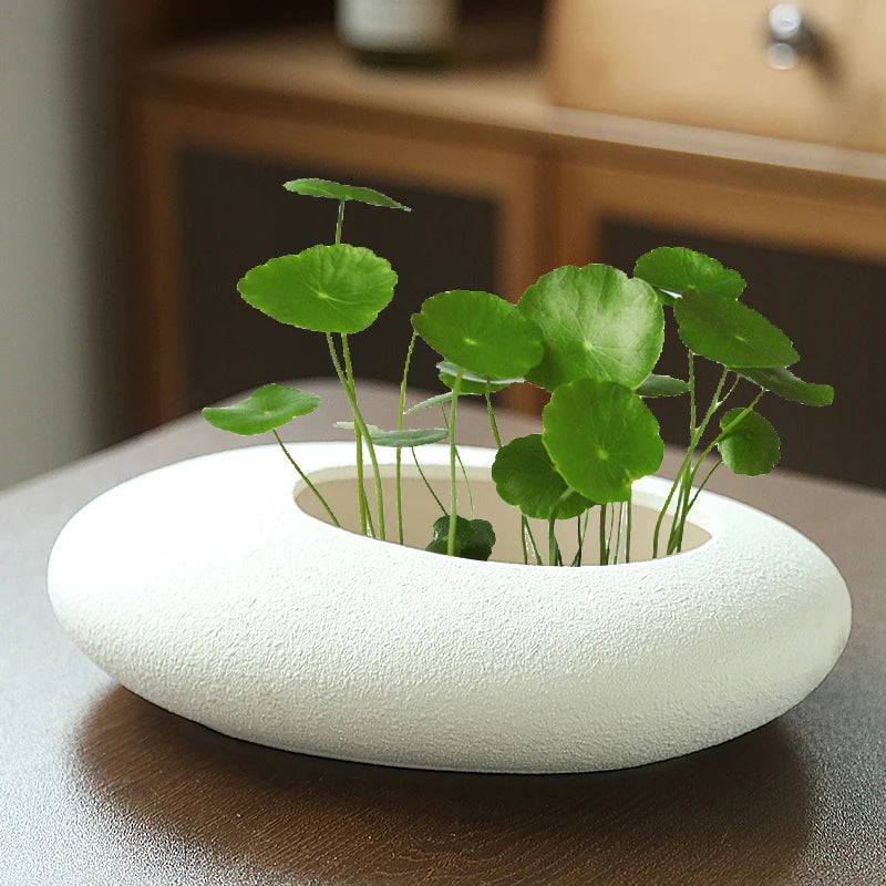 Living Room Decoration Pots Plants Flower Pots Succulent Pot Cute Flower Pot Balcony Decorations Plant Pot Ceramic Home Decor