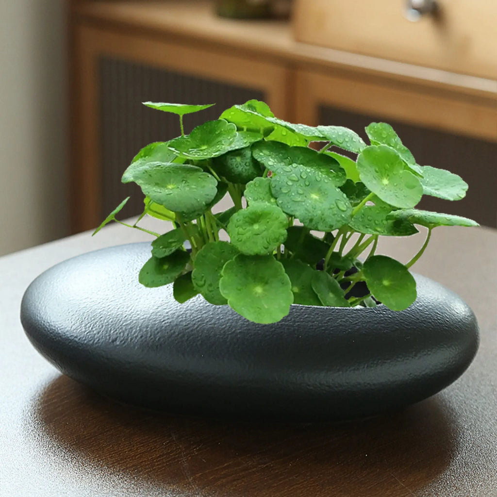 Living Room Decoration Pots Plants Flower Pots Succulent Pot Cute Flower Pot Balcony Decorations Plant Pot Ceramic Home Decor
